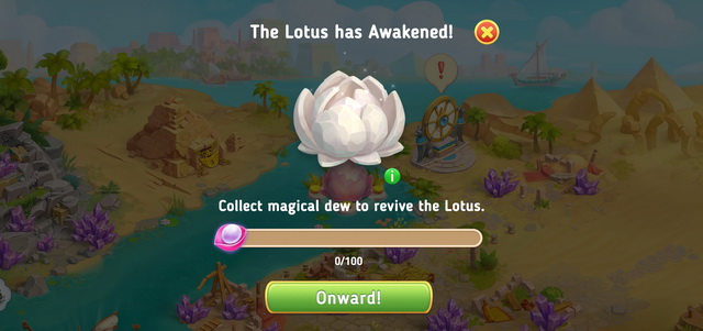 Lotus2.jpg